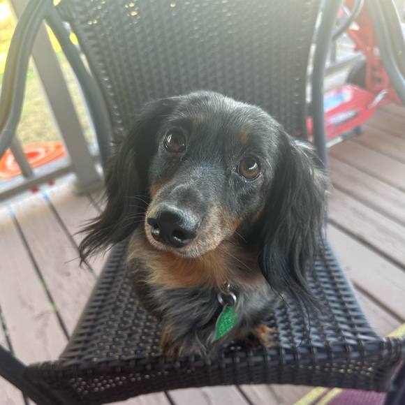 💕I’M LIVE💕 Like Listing to Get Notified! - Picture 7 of 9